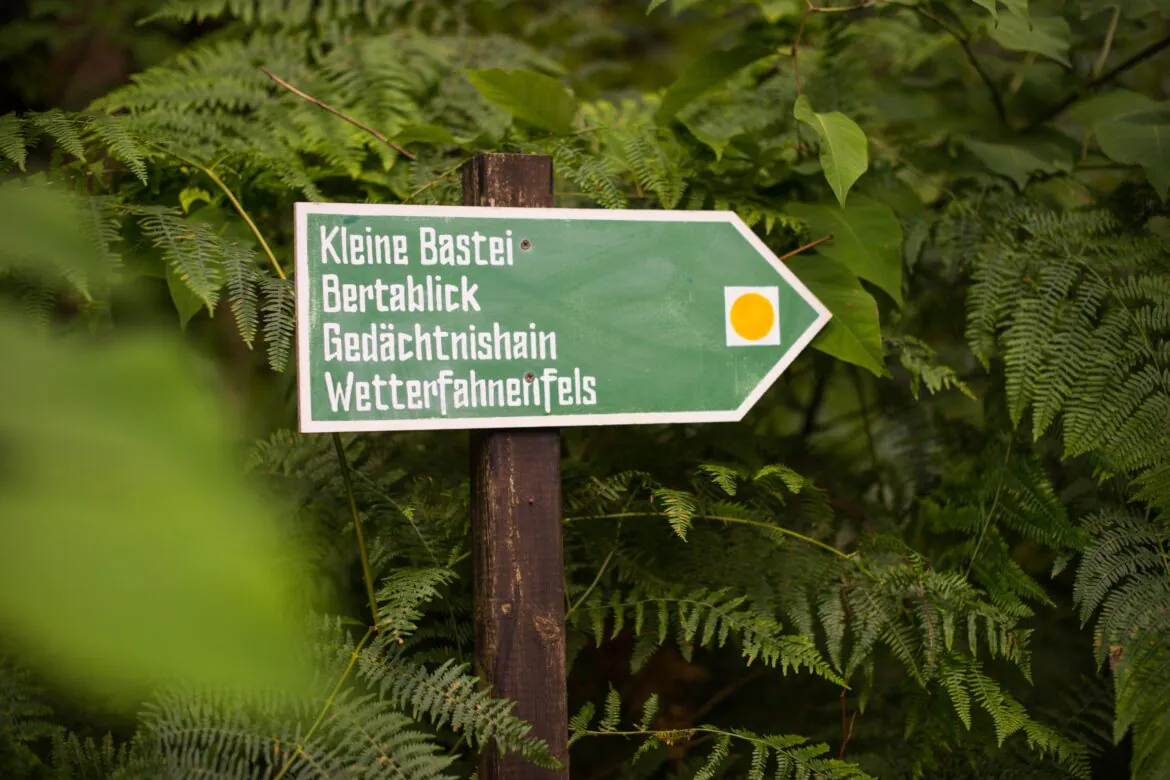 Achtsam Wandern in der SĂ€chsischen Schweiz Ein grĂŒnes, pfeilförmiges Schild im Wald zeigt nach rechts und trĂ€gt die deutschen Aufschriften: âKleine Bastei, Bertablick, GedĂ€chtnishain, Wetterfahnenfels.â Das Schild ist von Farnen und grĂŒnen BlĂ€ttern umgeben.