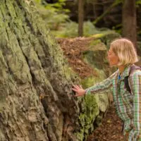 Eine Person mit Brille und kariertem Hemd, die einen Rucksack trägt, berührt einen großen, moosbewachsenen Felsen in einem Wald, umgeben von Bäumen und Grün.