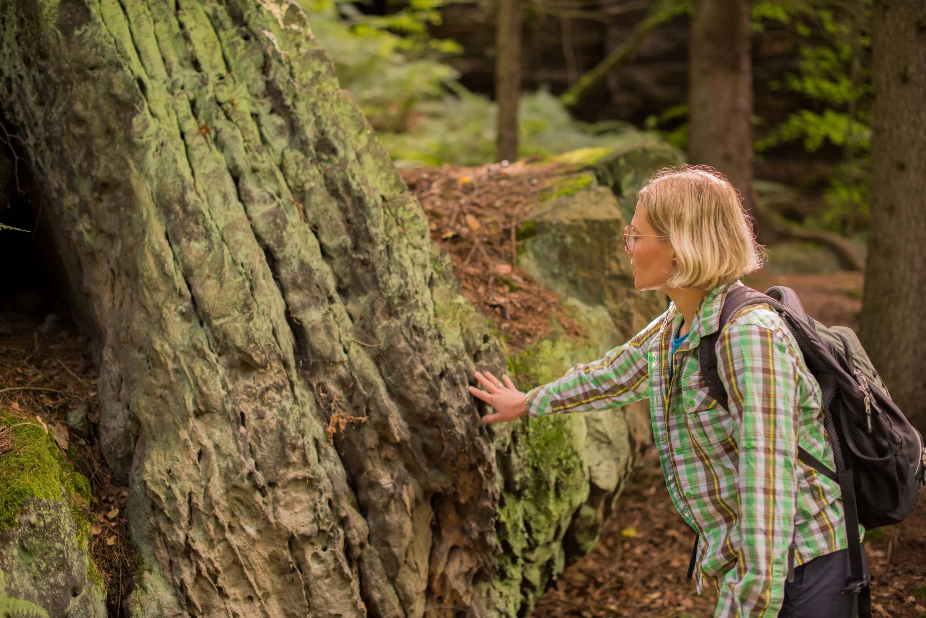 Eine Person mit Brille und kariertem Hemd, die einen Rucksack trĂ€gt, berĂŒhrt einen groĂen, moosbewachsenen Felsen in einem Wald, umgeben von BĂ€umen und GrĂŒn.