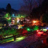 Eine nächtliche Gartenszene ist mit bunten Lichterketten geschmückt, die Bäume, Sträucher und Wege beleuchten. Rechts steht ein warm beleuchteter Weihnachtsbaum, und der dunkle Himmel sorgt für eine festliche Atmosphäre.