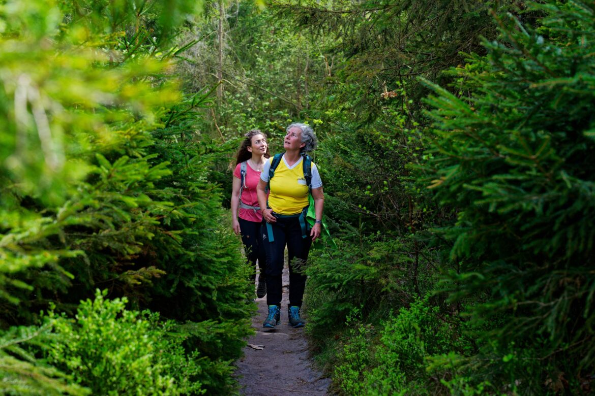 Zwei Frauen mit Rucksäcken gehen einen schmalen Feldweg entlang, der von üppig grünen Bäumen in einem Wald umgeben ist. Eine Frau ist älter und hat graues Haar, die andere ist jünger und hat braunes Haar. Beide scheinen die Wanderung in der Natur zu genießen.