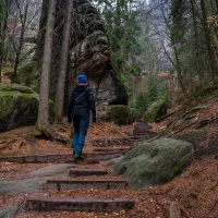 Eine Person mit blauem Rucksack und Winterkleidung wandert eine Holztreppe in einem Wald hinauf. Der Weg ist von hohen Bäumen und großen, moosbedeckten Felsen umgeben. Der Himmel ist bedeckt, was der Szene eine ruhige und neblige Atmosphäre verleiht.