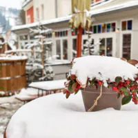 Eine Topfpflanze mit grünen Blättern und roten Beeren steht auf einer schneebedeckten Fläche vor einem Gebäude. Der Topf ist mit Schnee bedeckt, und im Hintergrund sind weitere schneebedeckte Pflanzen sowie eine Holzkonstruktion und ein großer Fensterbereich zu sehen.