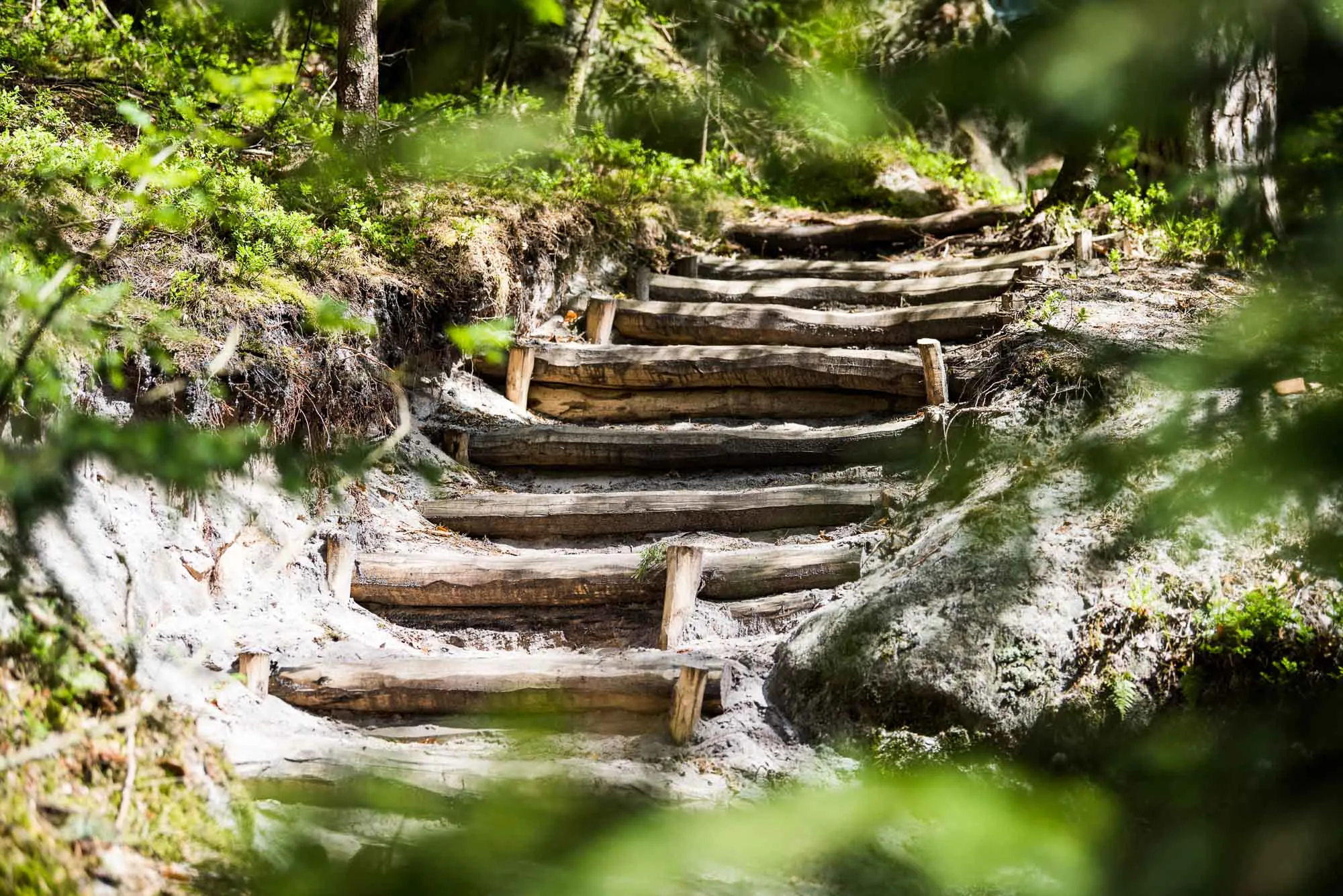 Ein Naturpfad mit Holzstufen, die in einen Erdhang gebaut wurden, ist von ĂŒppigem GrĂŒn und BĂ€umen umgeben. Sonnenlicht fĂ€llt durch die BlĂ€tter und wirft gesprenkelte Schatten auf den Pfad. Die Stufen fĂŒhren nach oben und bilden einen ruhigen und einladenden Wanderweg.