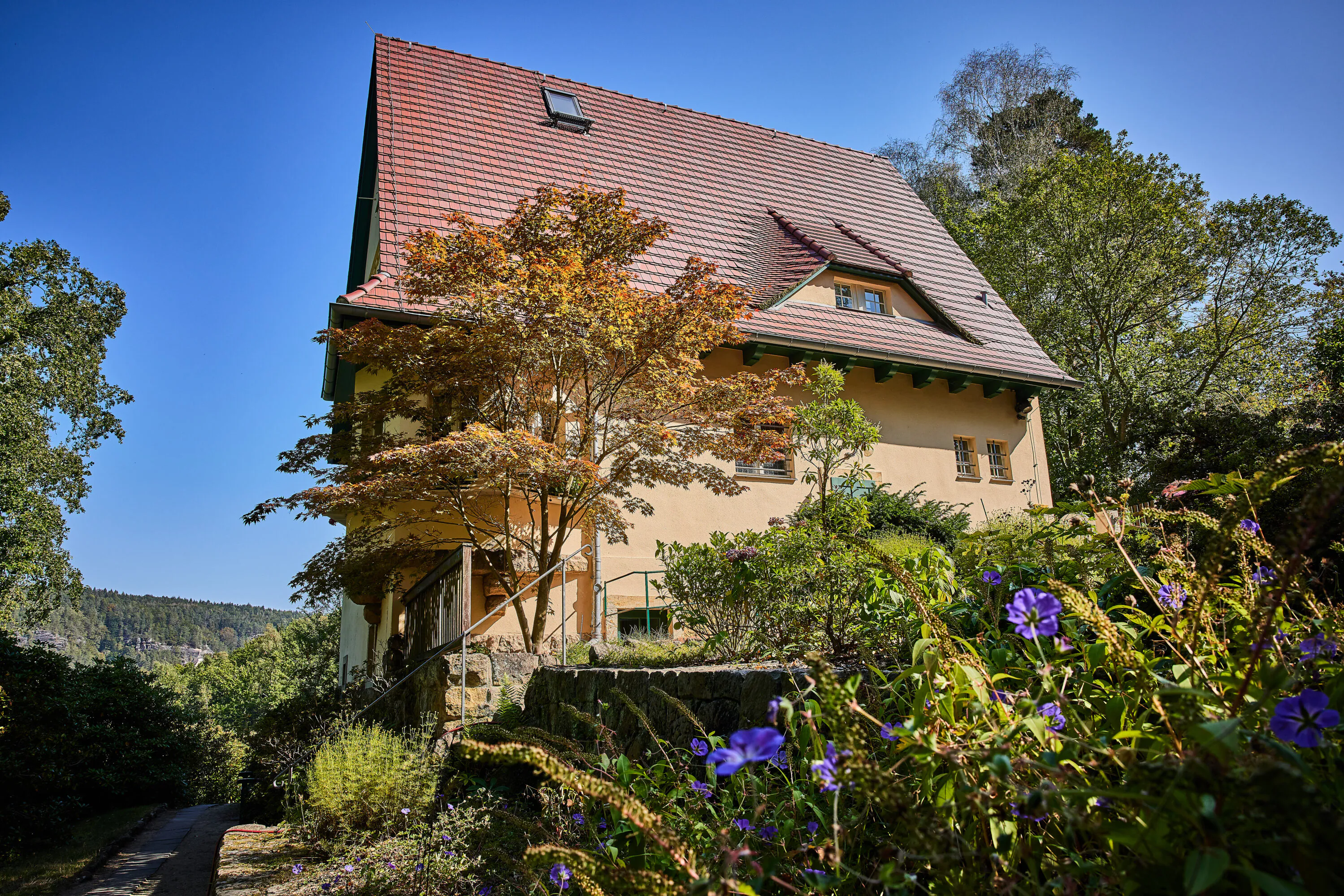 Ein beiges Haus mit einem steilen roten Dach steht inmitten grüner Bäume und leuchtend violetter Blumen unter einem strahlend blauen Himmel.