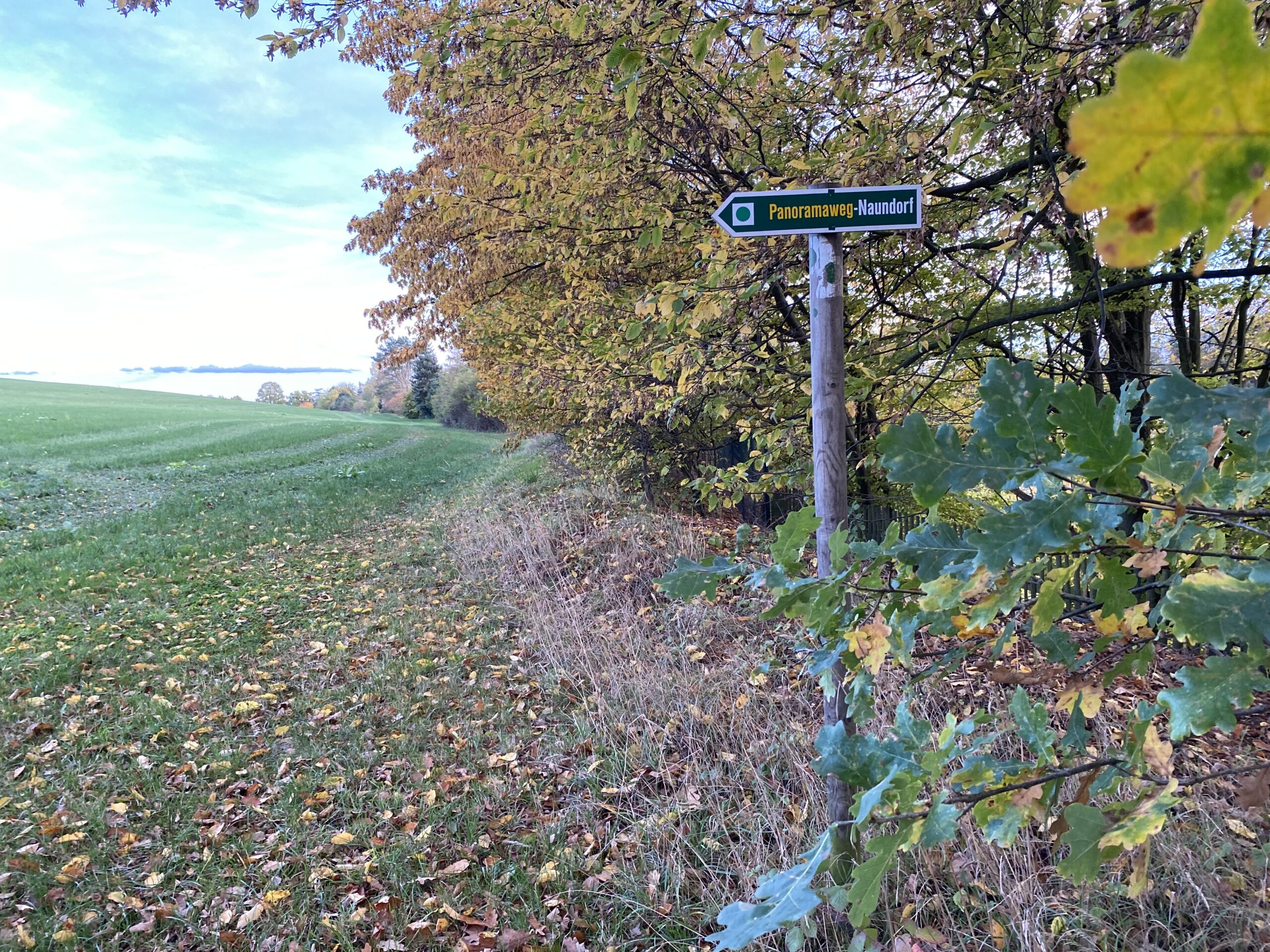 Panoramaweg Struppen